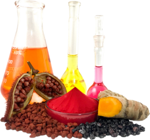 A laboratory composition of glass beakers filled with vibrant red, orange, and yellow liquid natural colorants, displayed with raw Annatto seeds, Turmeric root, and Carmine.