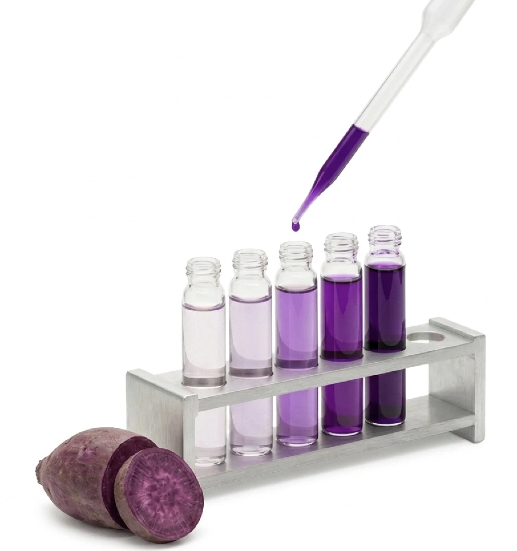 a pipette dispensing a deep purple liquid into glass vials, next to a sliced purple sweet potato showing its vibrant interior at BioconColors.